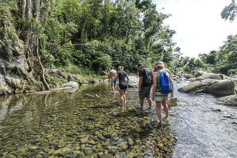 From San Juan: El Yunque Rainforest and Waterslides Day Trip