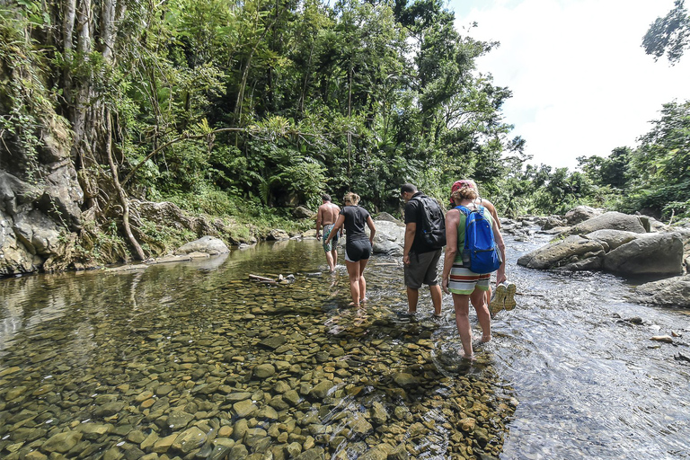 Von San Juan: Tagesausflug zum El Yunque Regenwald und den Wasserrutschen