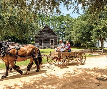 Alabama: Dothan-Eufaula Area Multi-Attraction Pass
