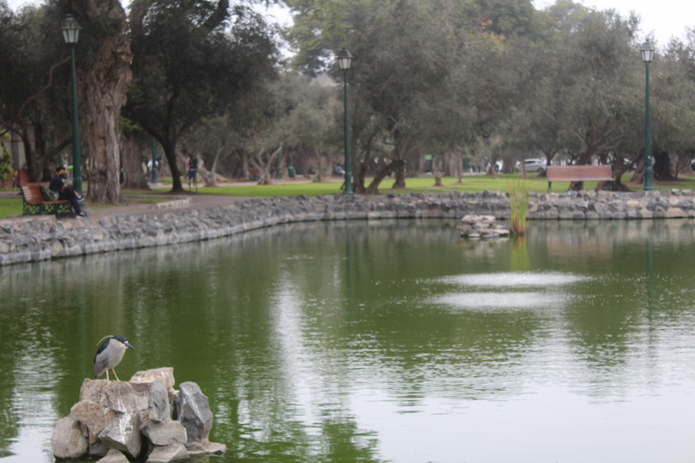 Lima: avond stadsfietservaring en rondleiding