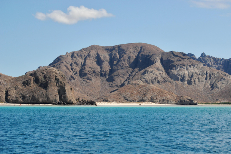 La Paz: Espiritu Santo Island Tour