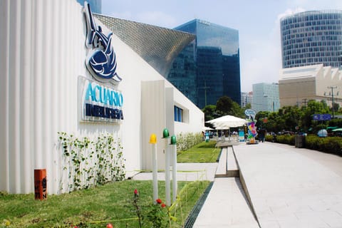 Ciudad de México: tour del Acuario Inbursa con transporte