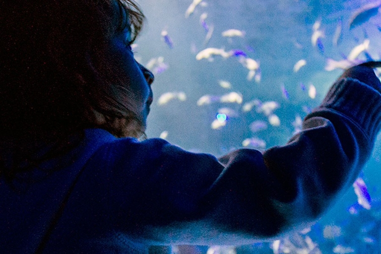 Mexico-Stad: Inbursa Aquarium Tour met vervoer