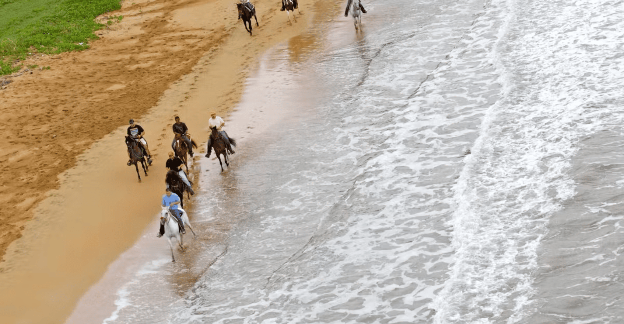 Carabalí Rainforest Park, Beach Horseback Riding - Housity