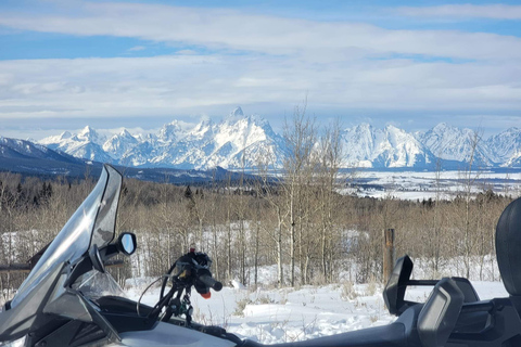 Jackson Hole: Bridger-Teton Guided Snowmobile Tour Jackson Hole: Guided 3-Hour Snowmobile Tour