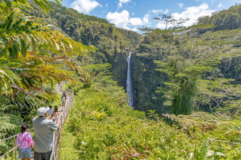 Excursión privada de un día a Ultimate Waterfall ExperienceHilo: Excursión privada de un día a la experiencia definitiva en cascada