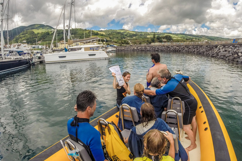 Azoren: zwemmen met dolfijnen Atlantic ExperienceOntmoet ons in de jachthaven