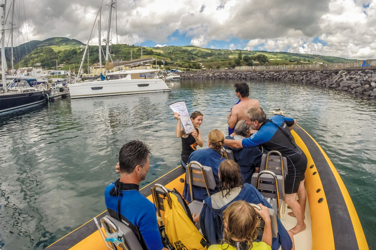 Azores: Experiencia Atlántica Nadar con DelfinesNos vemos en el puerto deportivo