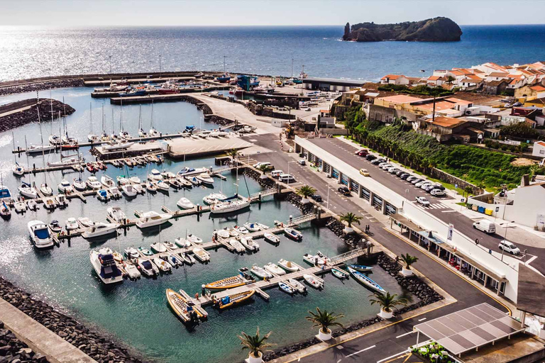 Açores : Nagez avec les dauphins Expérience atlantiqueRetrouvez-nous au port de plaisance