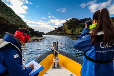 Vila Franca do Campo: reserva de islotes en barco y recorrido a pie