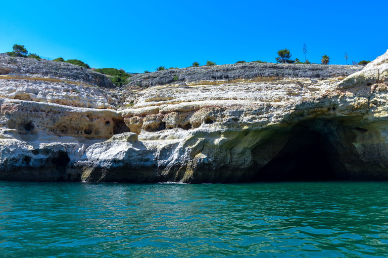 Ab Lagos: Benagil-Höhle und Küstenrundfahrt mit dem Katamaran