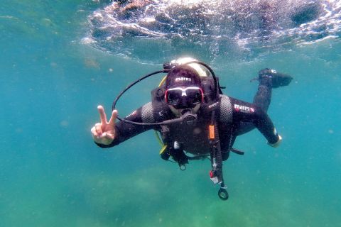 Arrábida: Marine Park Scuba Diving Experience