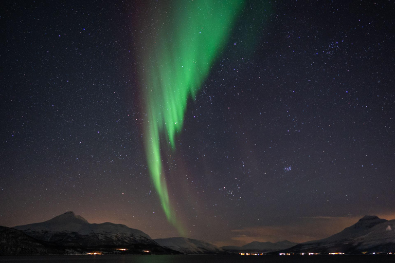 Tromsö: Norrskenstur med foton och hotelltransfer