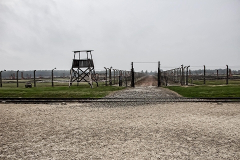 From Warsaw: Auschwitz-Birkenau Guided Tour with Fast Train German Tour
