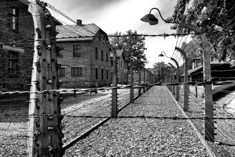Desde Varsovia: visita guiada a Auschwitz-Birkenau con tren rápidoTour en inglés