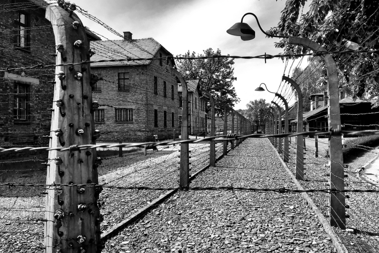 Z Warszawy: wycieczka z przewodnikiem po Auschwitz-Birkenau z szybkim pociągiemWycieczka po niemiecku