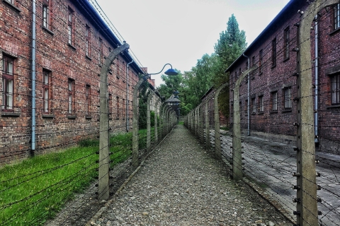 De Varsovie: visite guidée d'Auschwitz-Birkenau avec train rapideTournée française