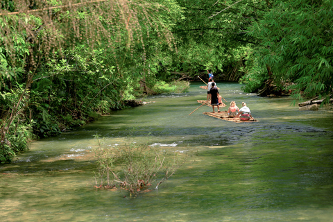 Khao Lak: Tour del Bamboo Rafting, degli Elefanti e del Centro delle Tartarughe