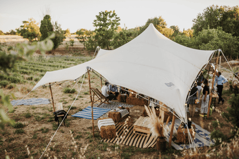 Aix-en-Provence Visites de plantations le MEILLEUR de 2025