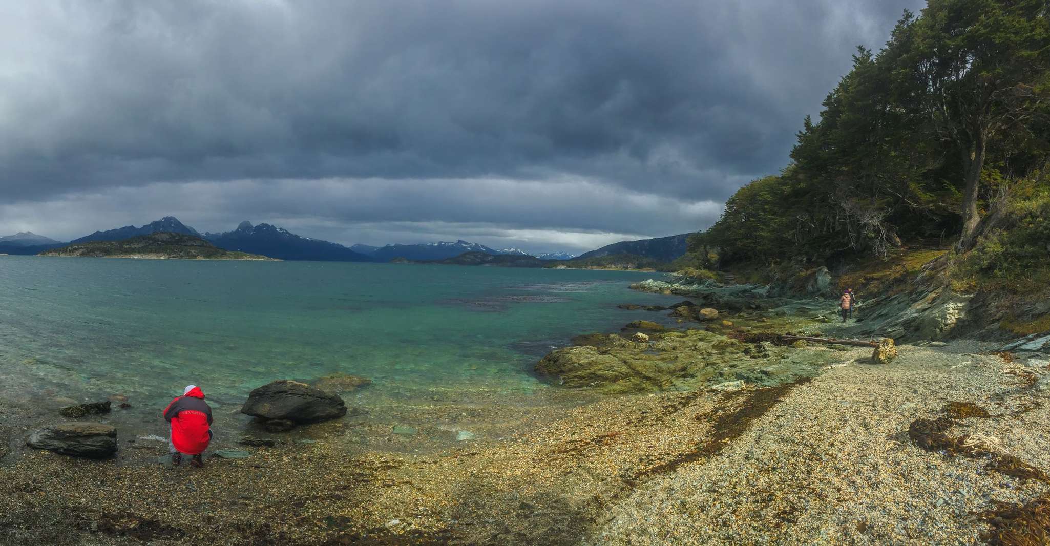 Visite du parc national Ushuaia, Tierra del Fuego avec déjeuner - Hizvo