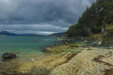 Ushuaia: Tierra del Fuego National Park Tour with Lunch