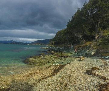 Ushuaia: Tierra del Fuego National Park Tour with Lunch