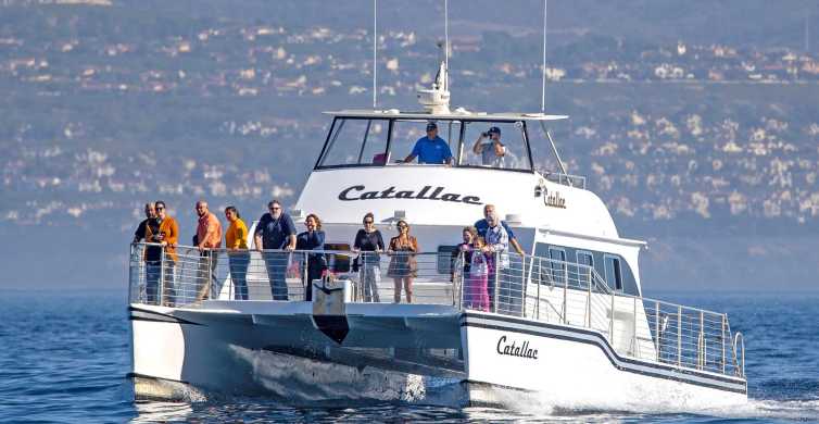 Newport Beach: Luxuriöse Walbeobachtungs-Katamaran-Kreuzfahrt