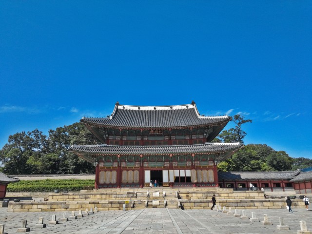Visit Seoul Full-Day Royal Palace and Shopping Tour in Séoul