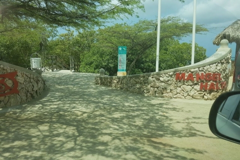 Aruba: Clear-Bottom Mangrovenwald Kajak Tour