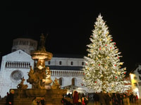 Trento private tour, medieval atmosphere of lovely old town - Housity