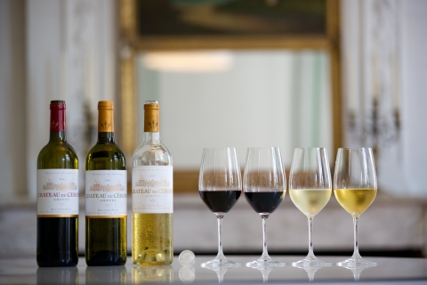Bordeaux: winnice Saint-Emilion z lokalnymi degustacjami wina