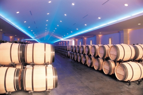 Bordeaux : vignobles de Saint-Emilion avec dégustations de vins locaux