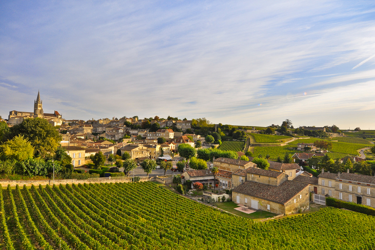 Burdeos: viñedos de Saint-Emilion con degustaciones de vinos locales