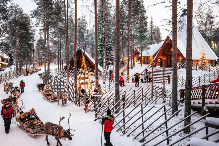 Rovaniemi: Winter Adventure Reindeer Safari