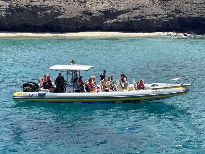 Morro Jable: tour de avistamiento de delfines y ballenas de 1,5 horas