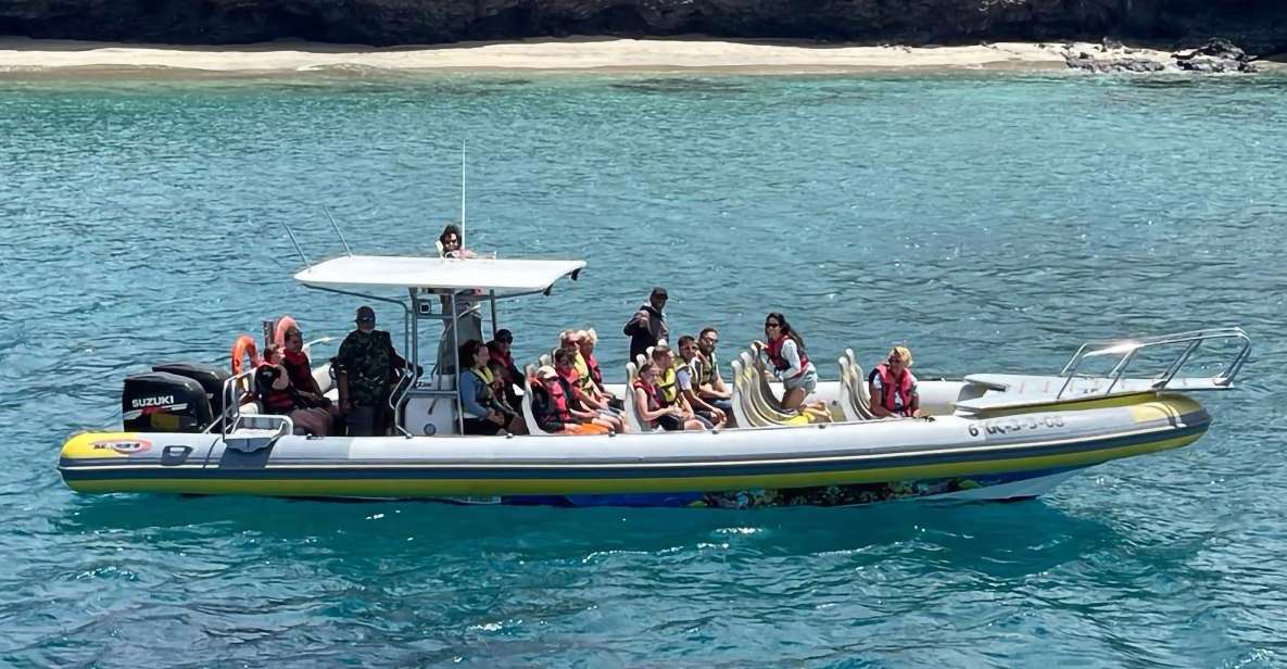Morro Jable: 1,5-godzinna wycieczka z obserwacją delfinów i wielorybów