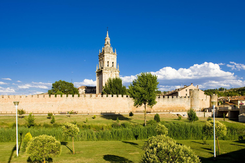 Guided tour of Burgo de Osma (by ECO-BUS)
