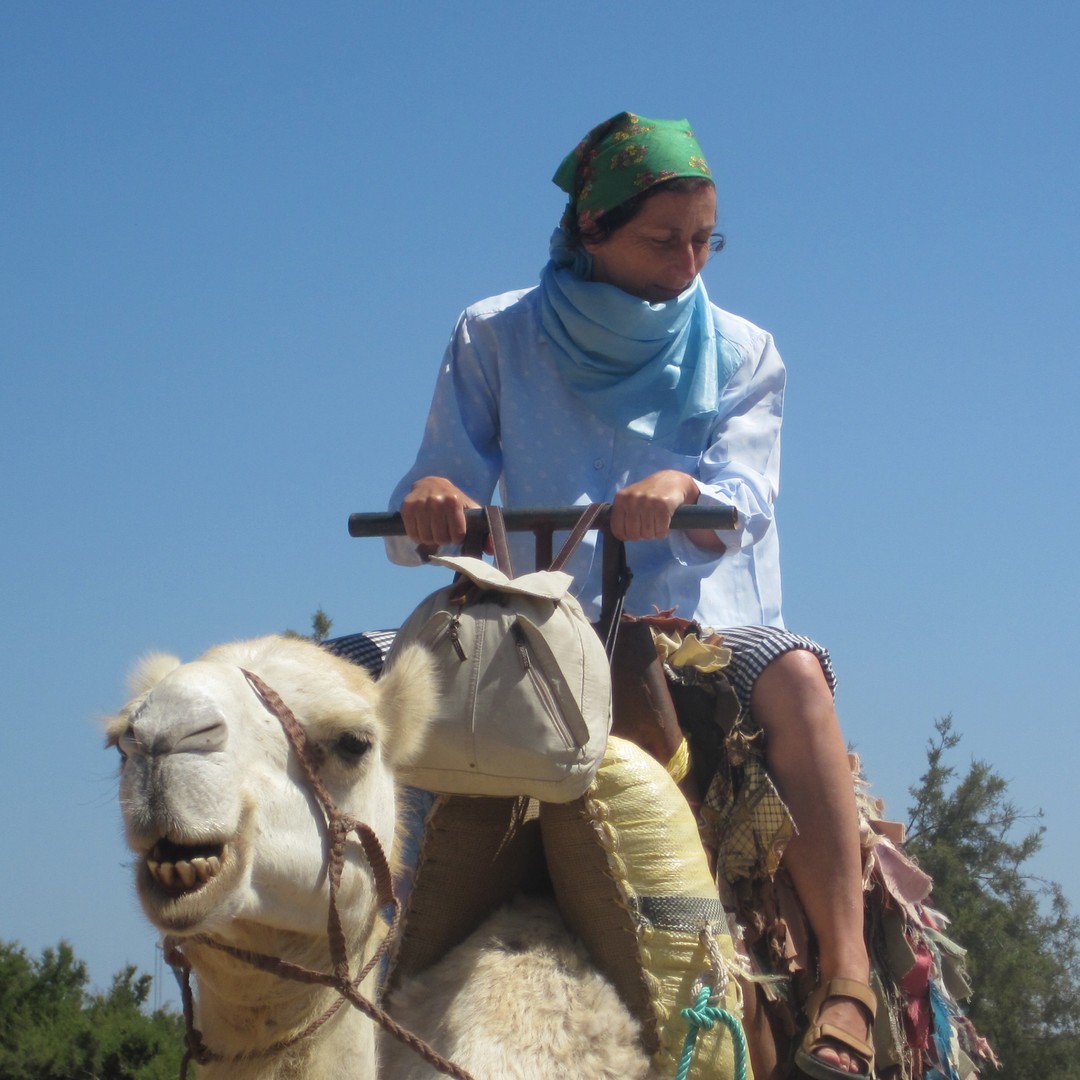 Essaouira : Randonnée guidée de 2h à dos de dromadaire avec coucher de soleil - dromadaire
