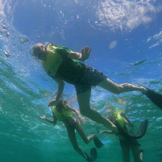 Oranjestad: Mangel Halto and Baby Beach Snorkeling Tour