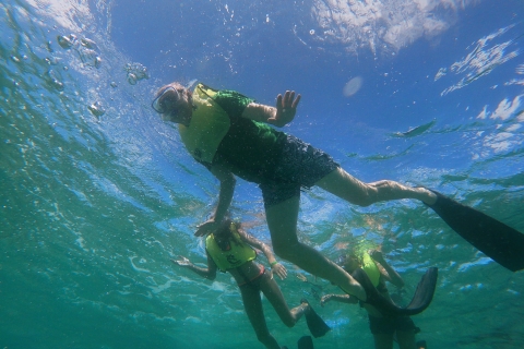 Oranjestad: Mangel Halto and Baby Beach Snorkeling Tour Discover Snorkeling Professional Mangel Halto - Baby beach