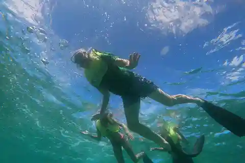 Oranjestad: Mangel Halto and Baby Beach Snorkeling Tour