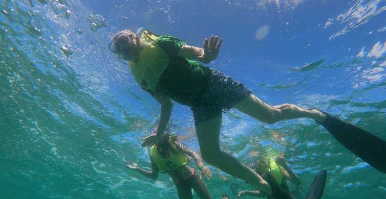 Oranjestad Mangel Halto and Baby Beach Snorkeling Tour GetYourGuide