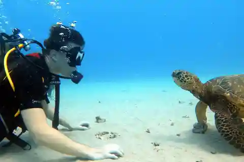 Oahu: Scuba Diving Lesson for Beginners