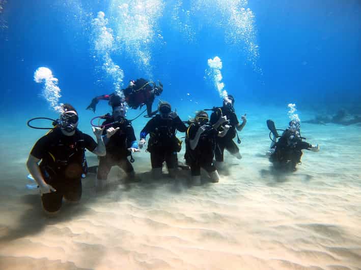 Oahu Scuba Diving Lesson for Beginners GetYourGuide