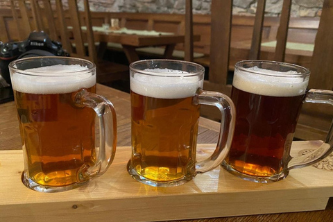 Bratislava: Craft Beer Tasting English or German Tour