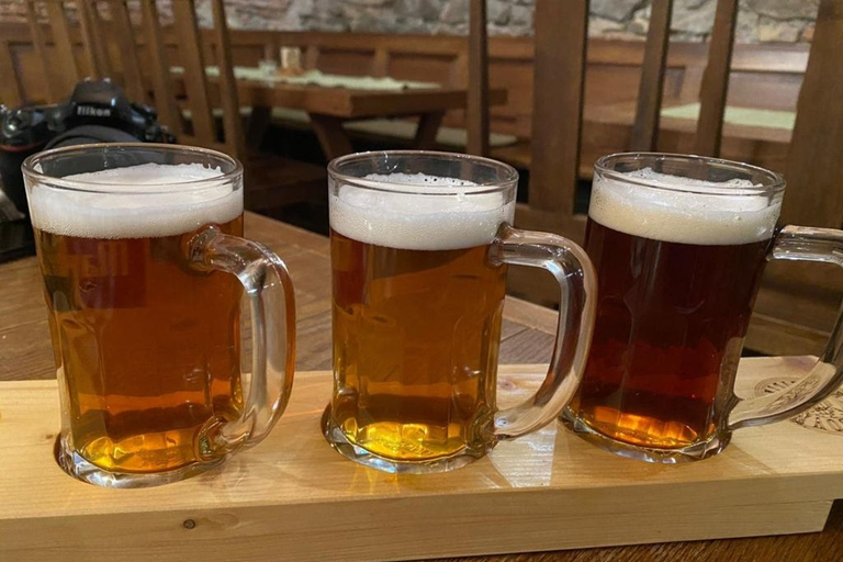 Bratislava: degustazione di birra artigianaleTour in inglese o tedesco