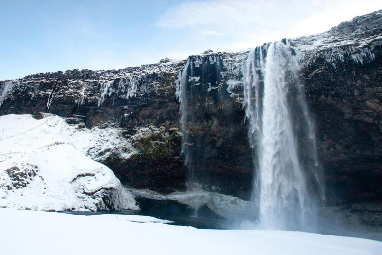 De Reykjavik: excursion d'une journée sur la côte sud et en motoneige