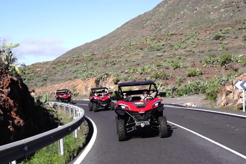 Costa Adeje: begeleide buggytour door Nationaal Park Teide