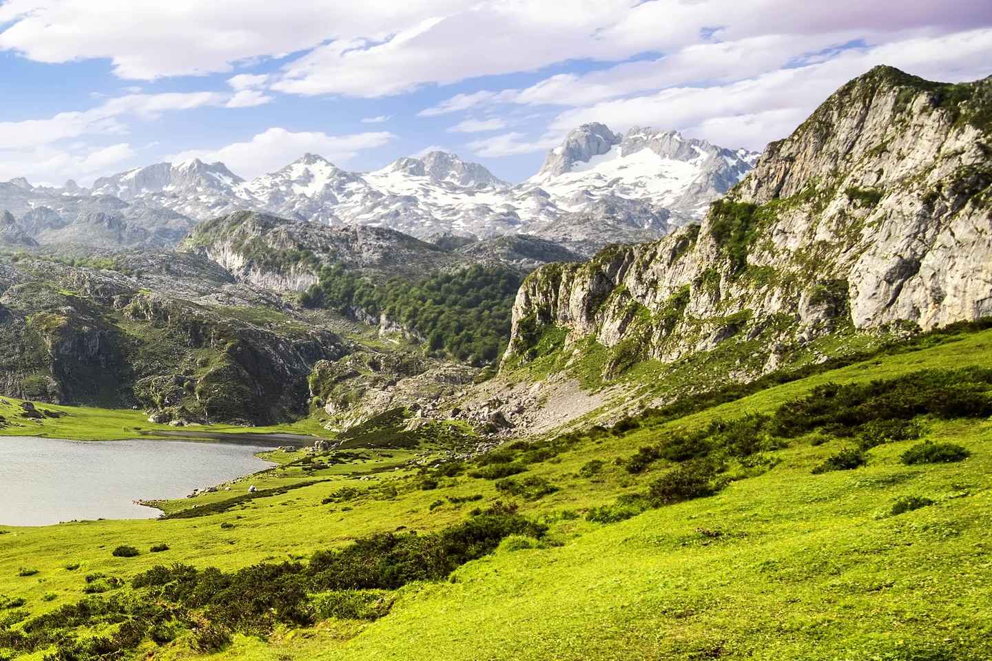 From Cangas de Onis: Covadonga Lakes Guided Day Trip