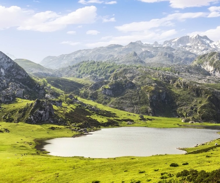 From Cangas de Onis: Lakes of Covadonga Guided Day Trip
